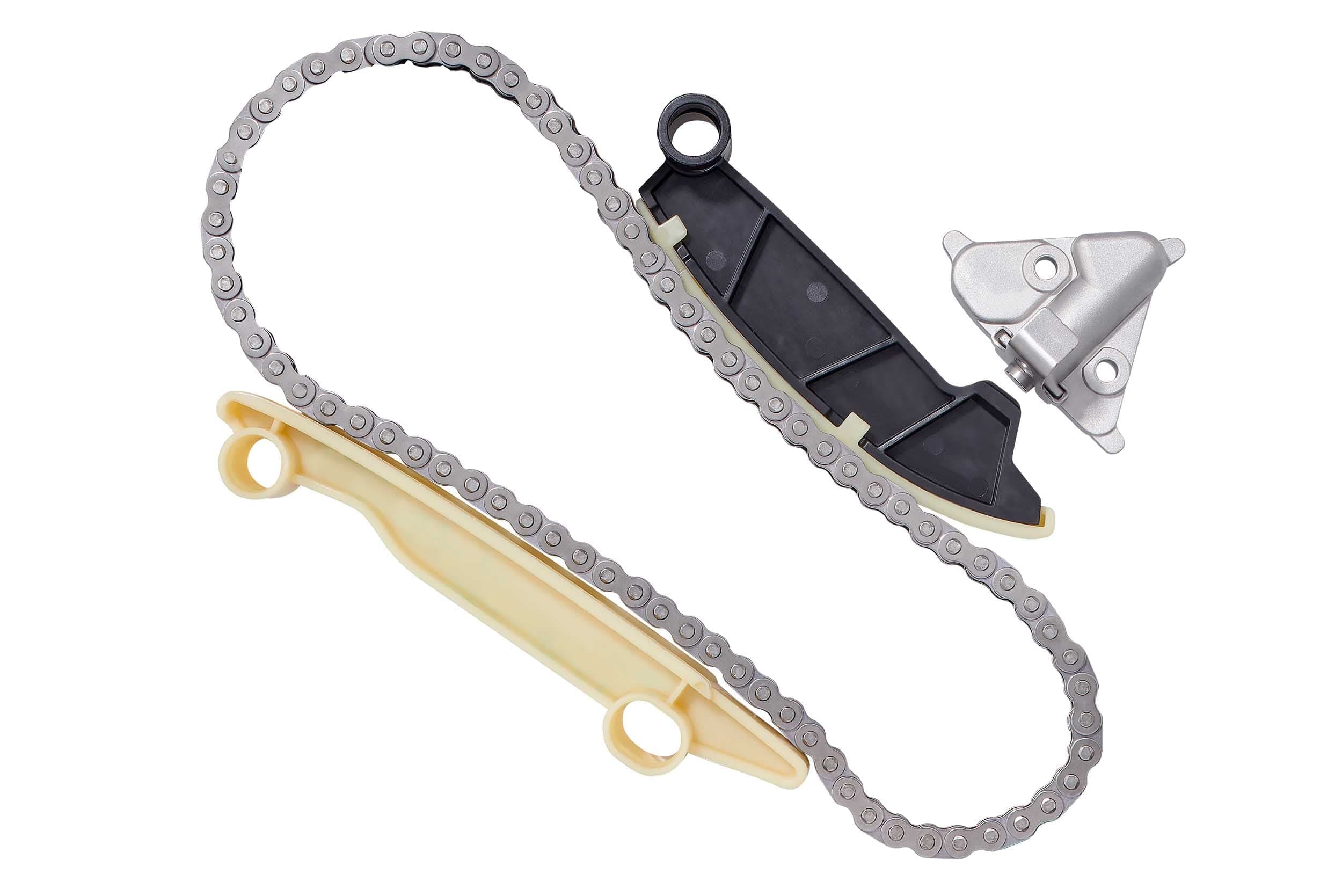 BorgWarner 59007150044 Pavaros grandinės komplektas