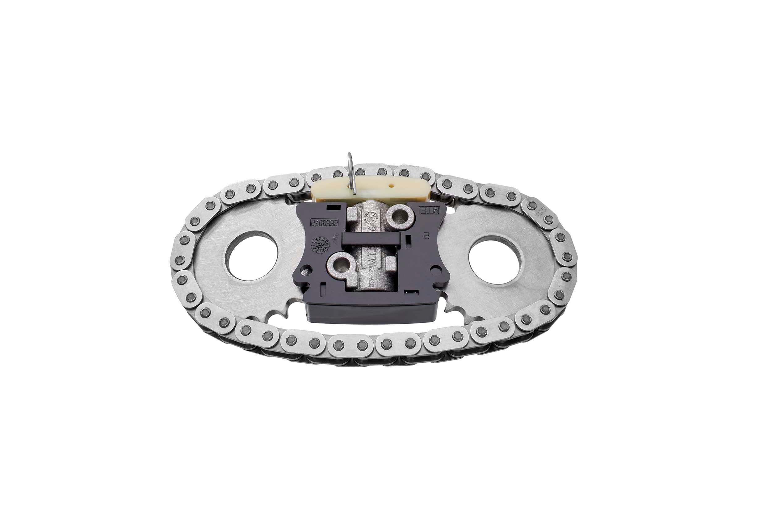 BorgWarner 59007150000 Pavaros grandinės komplektas