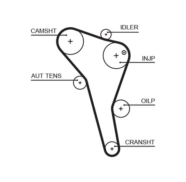 Paskirstymo diržas — GATES 5622XS