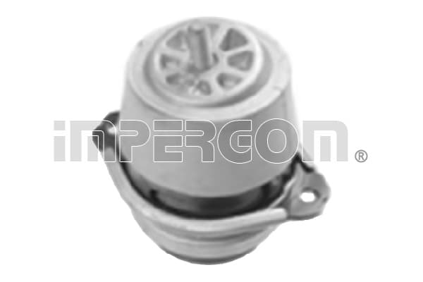 ORIGINAL IMPERIUM 34293 Variklio pagalvė