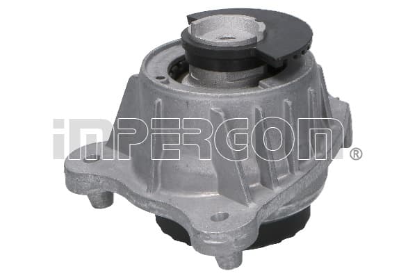 ORIGINAL IMPERIUM 610019 Variklio pagalvė