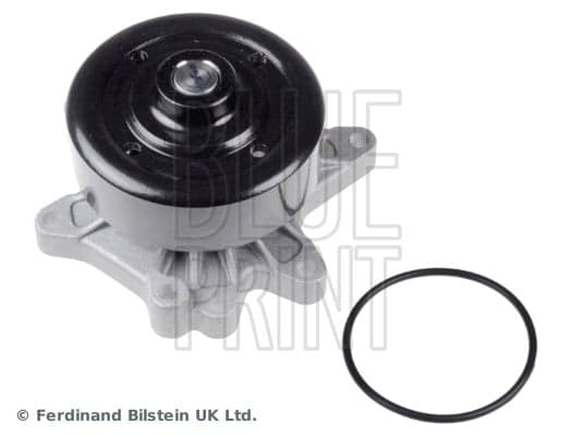 Vandens siurblys — BLUE PRINT ADT39175