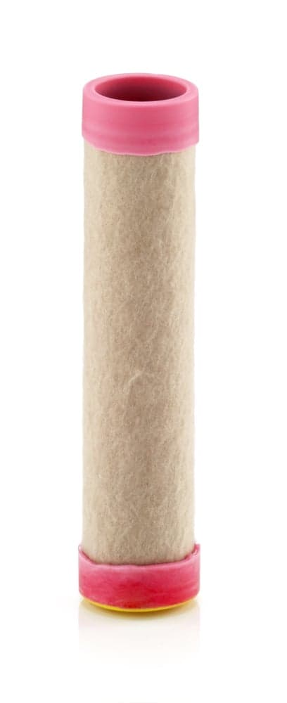Antrinis oro filtras — MANN-FILTER CF 100