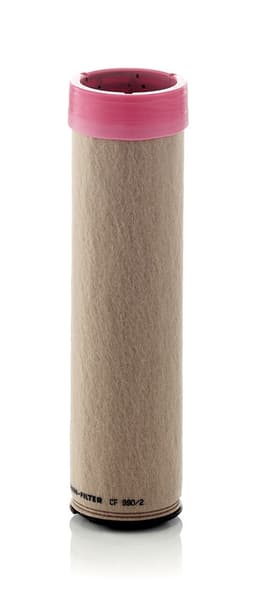 Antrinis oro filtras