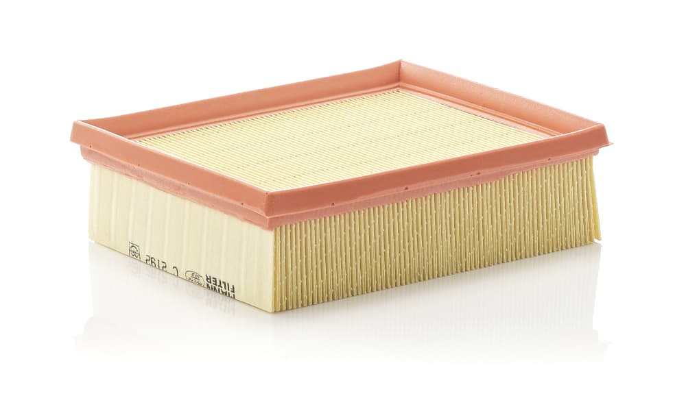 MANN-FILTER C 2192 Oro filtras