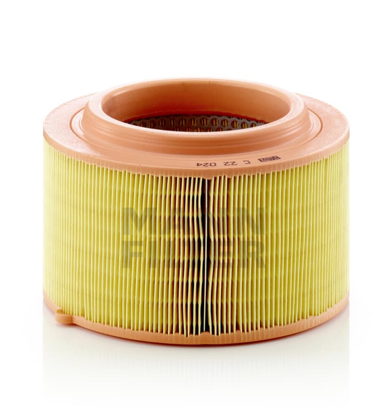 MANN-FILTER C 22 024 Oro filtras