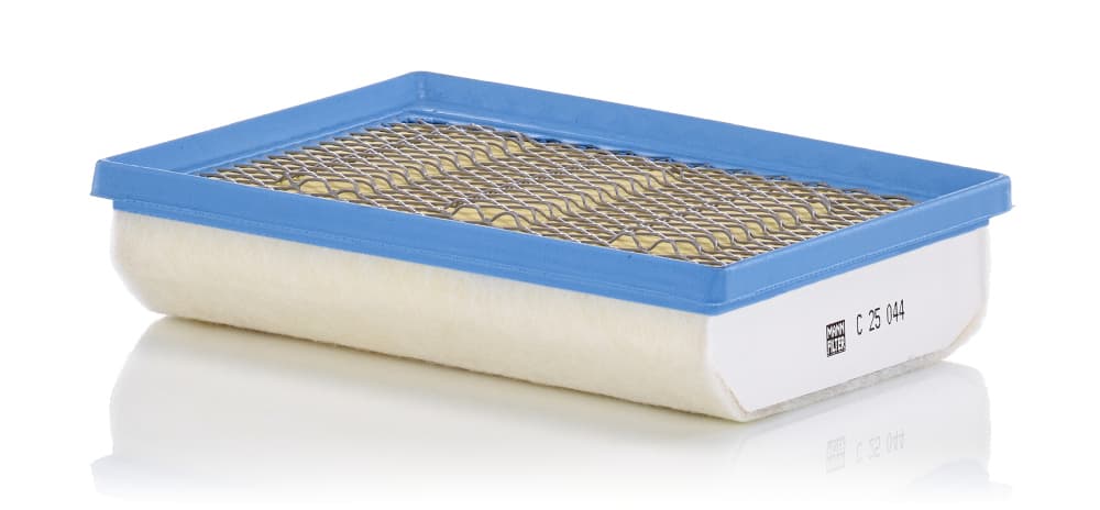 MANN-FILTER C 25 044 Oro filtras