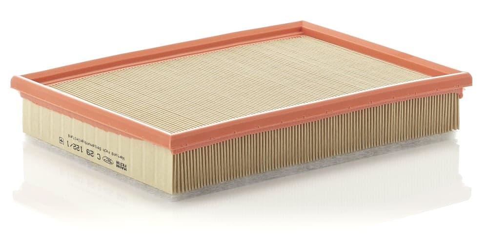 MANN-FILTER C 29 122/1 Oro filtras