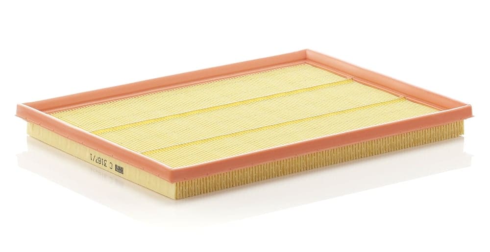 Oro filtras — MANN-FILTER C 3167/1