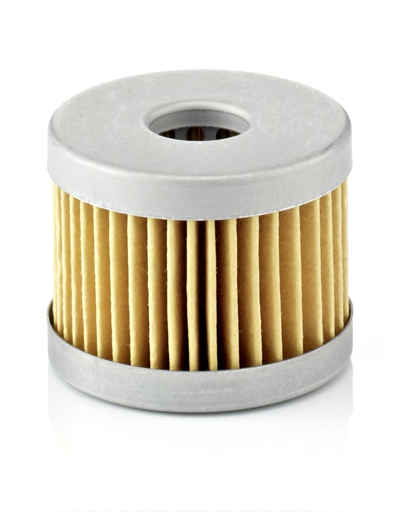 MANN-FILTER C 42/2 Oro filtras