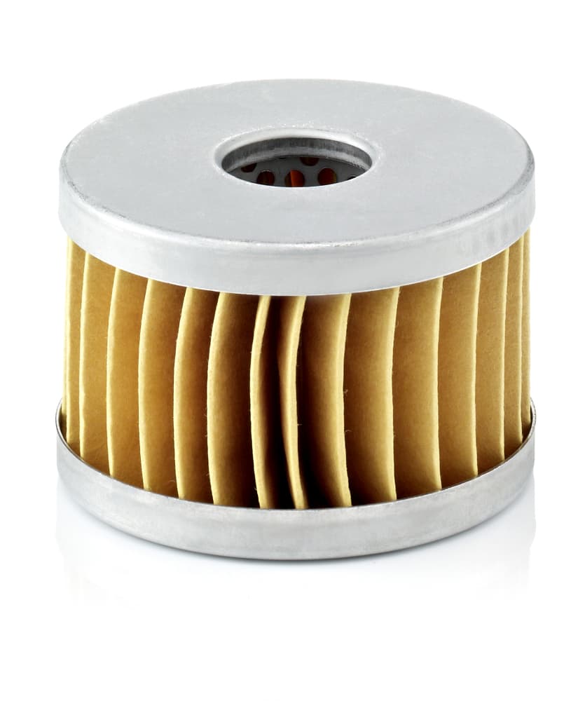 MANN-FILTER C 64/2 Oro filtras