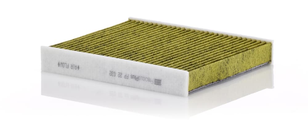 MANN-FILTER FP 22 032 Salono filtras