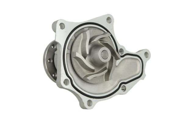THERMOTEC D19024TT Vandens siurblys