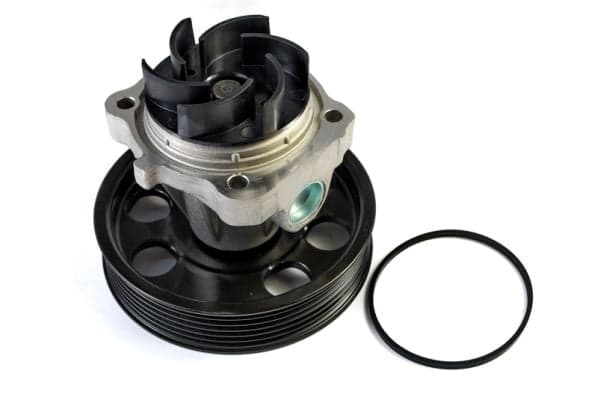 THERMOTEC D1F074TT Vandens siurblys