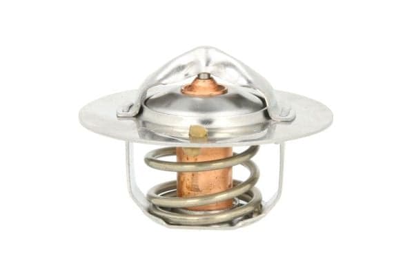 THERMOTEC D20301TT Termostatas