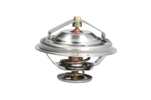 THERMOTEC Termostatas