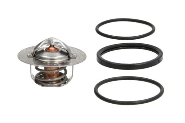 THERMOTEC D2R003TT Termostatas