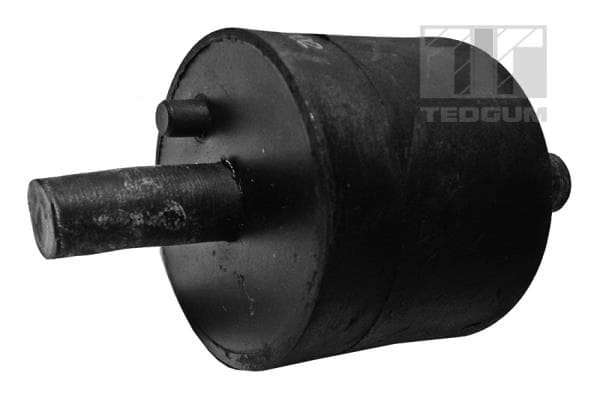TEDGUM 00089175 Variklio pagalvė