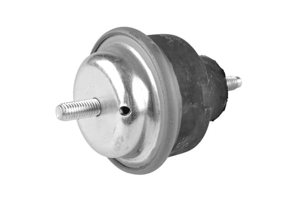 TEDGUM 00243994