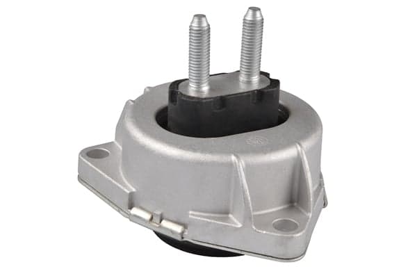 TEDGUM TED25518 Variklio pagalvė