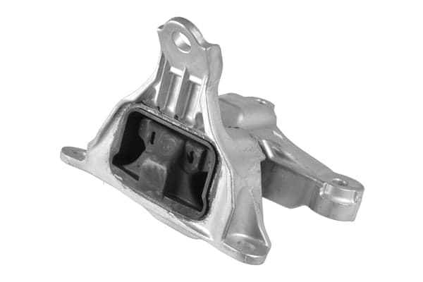 TEDGUM TED59180 Automatinės pavarų dėžės tvirtinimas