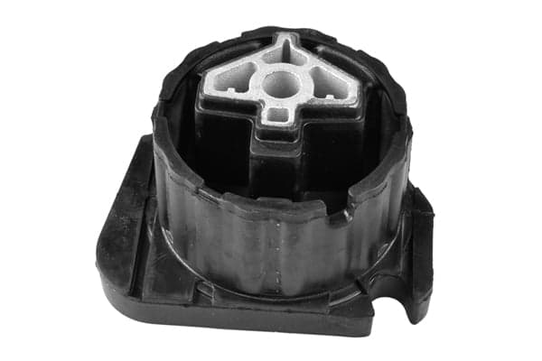 TEDGUM TED92463 Automatinės pavarų dėžės tvirtinimas