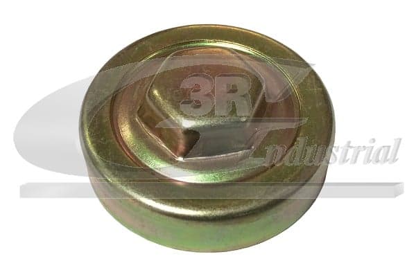 3RG 81663 Radiatoriaus dangtelis
