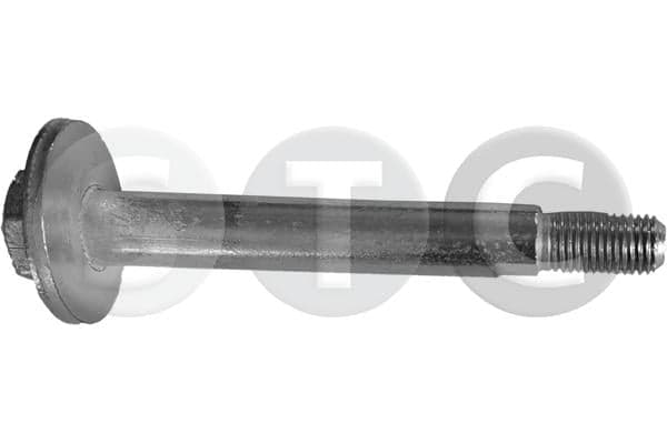 STC T439271 Pakabos svirtis