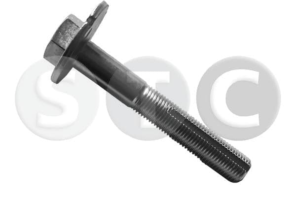 STC T439290 Pakabos svirtis