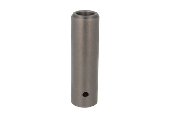 12-RV009 (SBP 12-RV009)