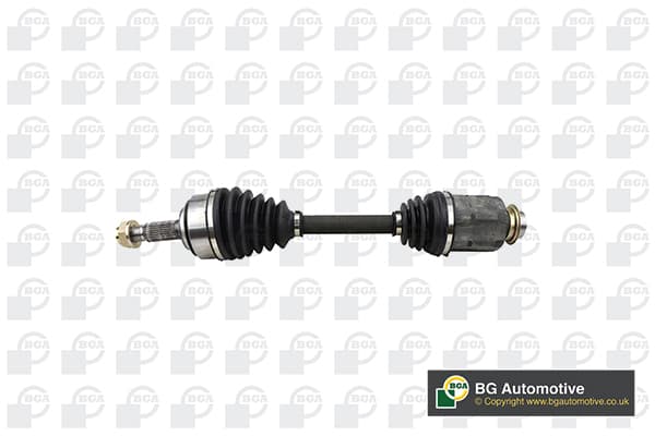 Pusašis — BGA DS2511RA