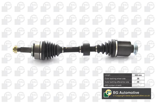 Pusašis — BGA DS2519R