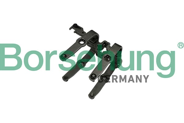 Borsehung B10907 Perjungiklio šakė