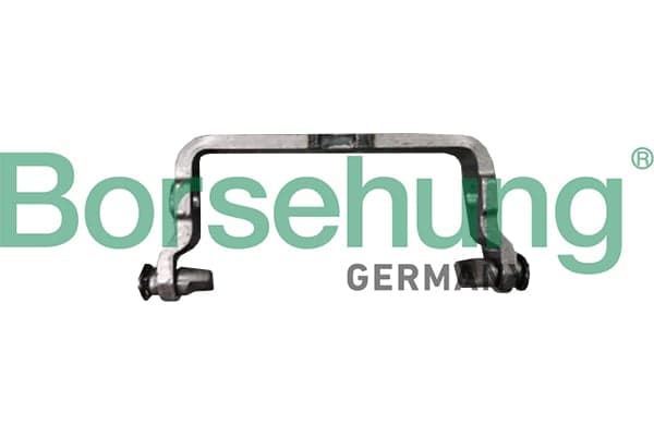 Borsehung B10910 Perjungiklio šakė