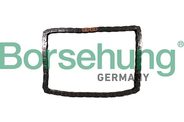 Borsehung B12784