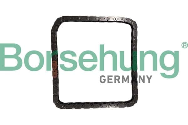 Borsehung B12785