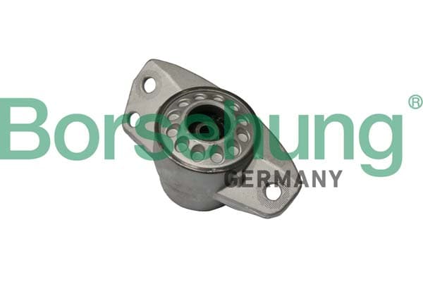 Borsehung B19081 Pakabos statramsčio guolis