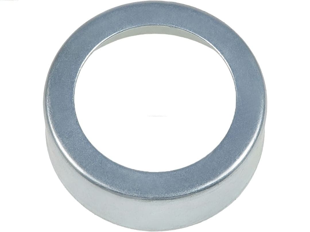 AS-PL SDK1001 Remonto komplektas, starteris
