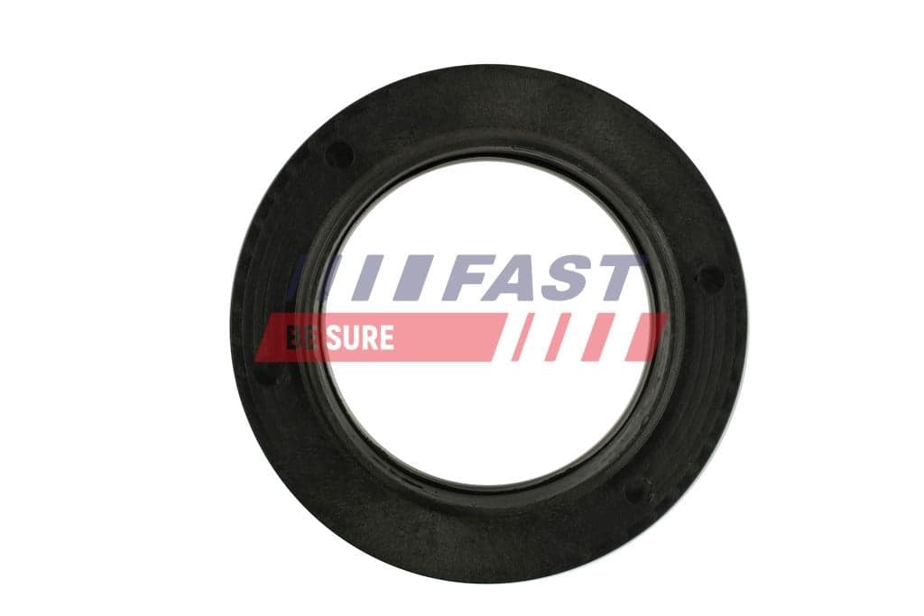 FAST FT12091 Frikcinis guolis, pakabos statramsčio atramos montavimas