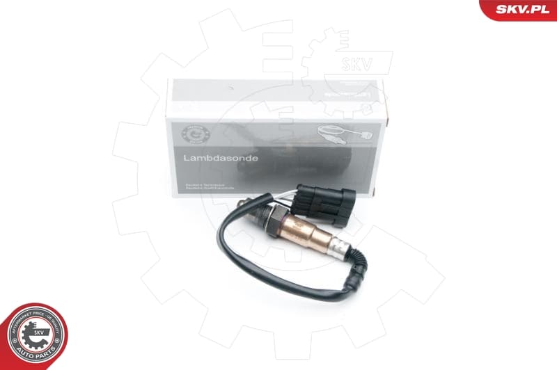 ESEN SKV 09SKV618