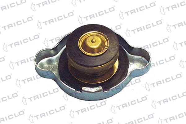 Radiatoriaus dangtelis — TRICLO 316427