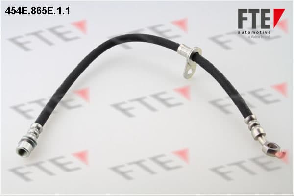 Stabdžių žarnelė — FTE 9240644