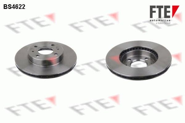 Stabdžių diskas — FTE 9072318
