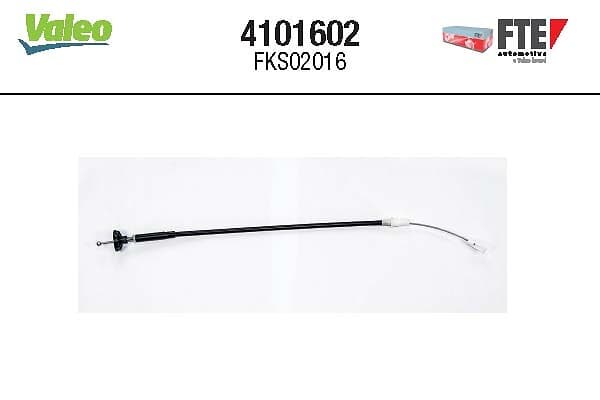 FTE 4101602