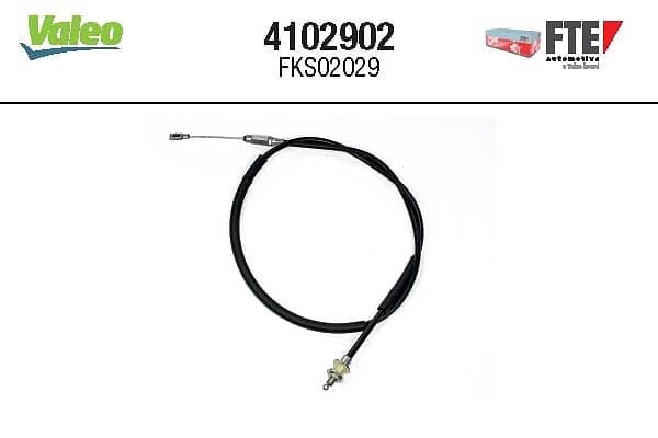 FTE 4102902