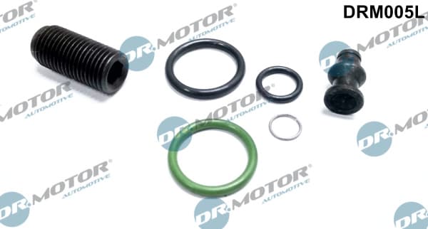 Dr.Motor Automotive DRM005L Siurblio-purkštukų blokas remonto komplektas
