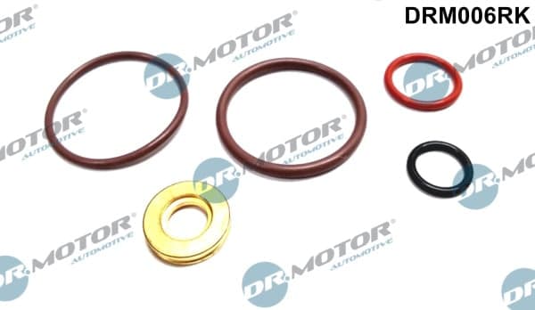 Dr.Motor Automotive DRM006RK Siurblio-purkštukų blokas remonto komplektas