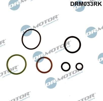 Dr.Motor Automotive DRM033RK Siurblio-purkštukų blokas remonto komplektas