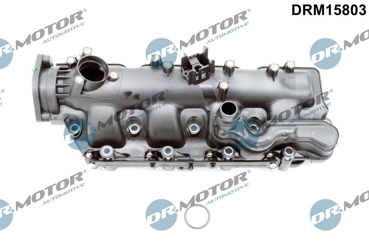 Įsiurbimo kolektoriaus modulis — Dr.Motor Automotive DRM15803