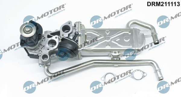 EGR vožtuvas — Dr.Motor Automotive DRM211113
